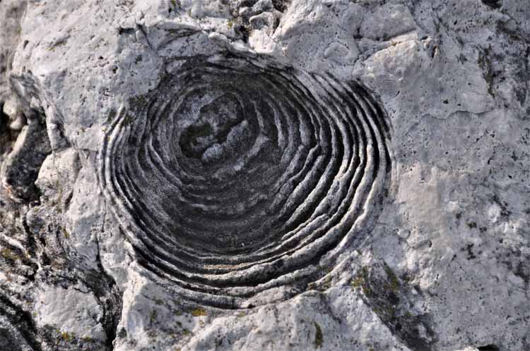 cut basin rock